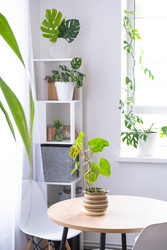 Similar image 22437263