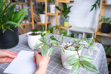 Similar image 22437269