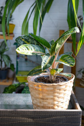 Similar image 22437271