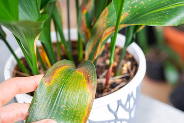 Similar image 22437281