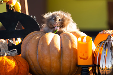 Similar image 22437284