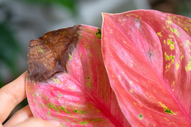 Similar image 22437294