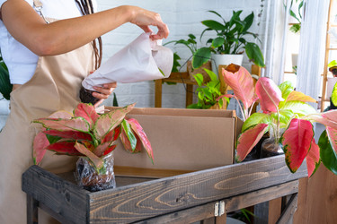 Similar image 22437296