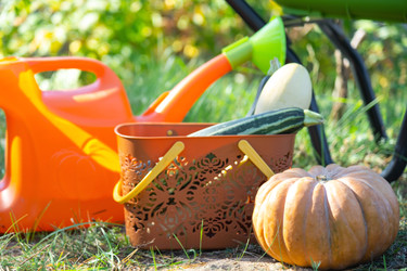 Similar image 22437307