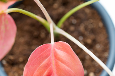 Similar image 22437321