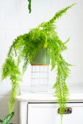 Similar image 22437322