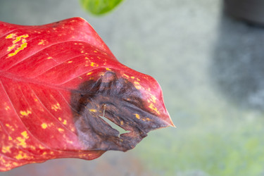 Similar image 22437325