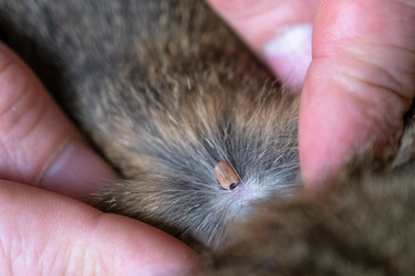 Similar image 22437330