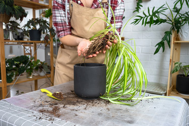 Similar image 22437331