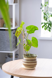 Similar image 22437332