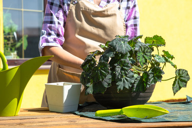 Similar image 22437335