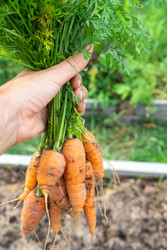 Similar image 22437338