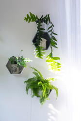 Similar image 22437339