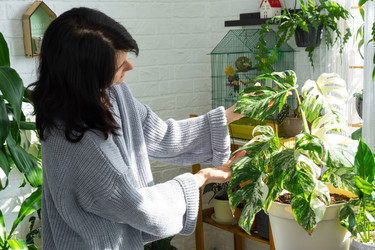 Similar image 22437341