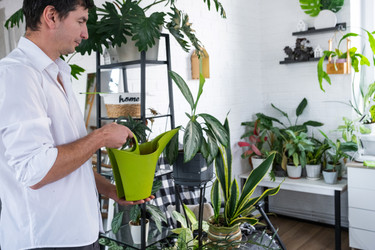 Similar image 22437348