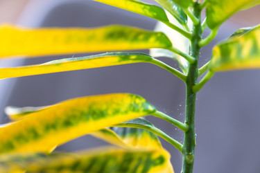 Similar image 22437356