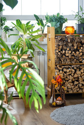 Similar image 22437365