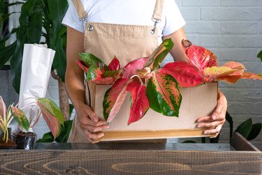 Similar image 22437374