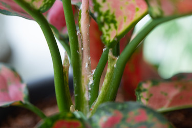 Similar image 22437375