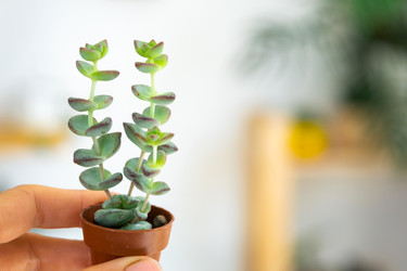 Similar image 22437381