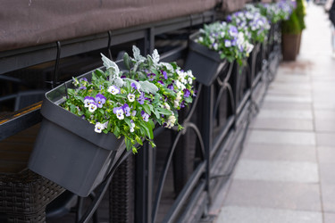 Similar image 22437382