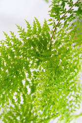 Similar image 22437385