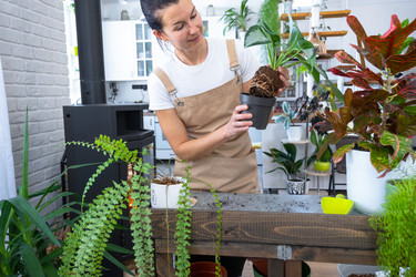 Similar image 22437389