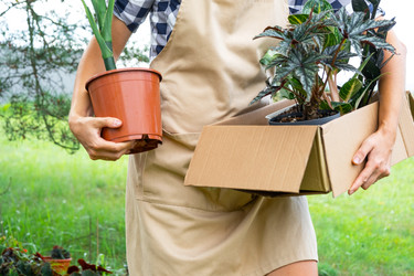 Similar image 22437391