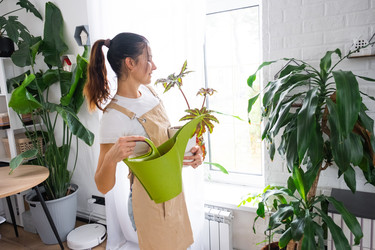 Similar image 22437392