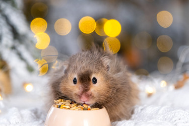 Similar image 22437393