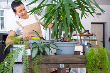 Similar image 22437394