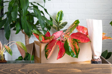 Similar image 22437398