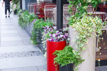 Similar image 22437399