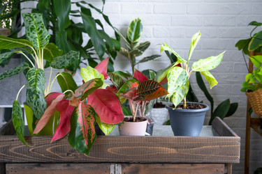 Similar image 22437404