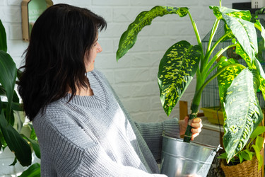 Similar image 22437411