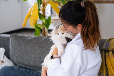 Similar image 22437412