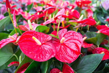 Similar image 22437413