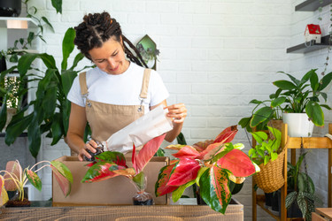 Similar image 22437421