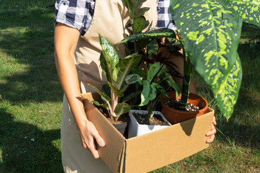 Similar image 22437434