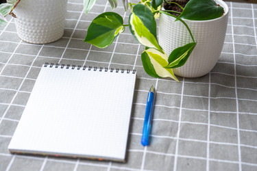 Similar image 22437442