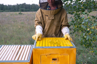 Similar image 22437444