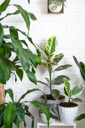 Similar image 22437446