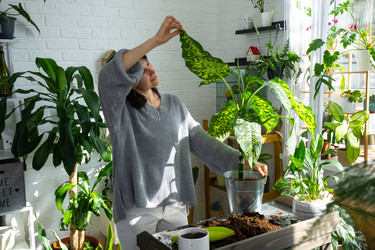 Similar image 22437449