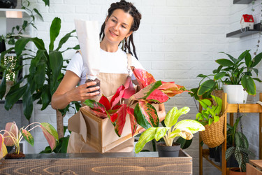 Similar image 22437450