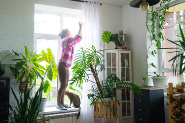 Similar image 22437452