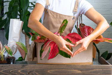 Similar image 22437457