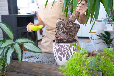 Similar image 22437474