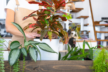 Similar image 22437488