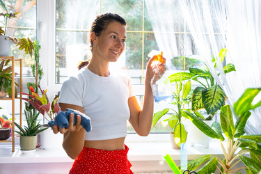 Similar image 22437490