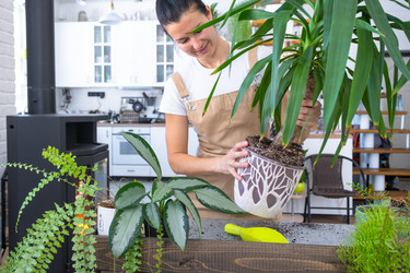 Similar image 22437491